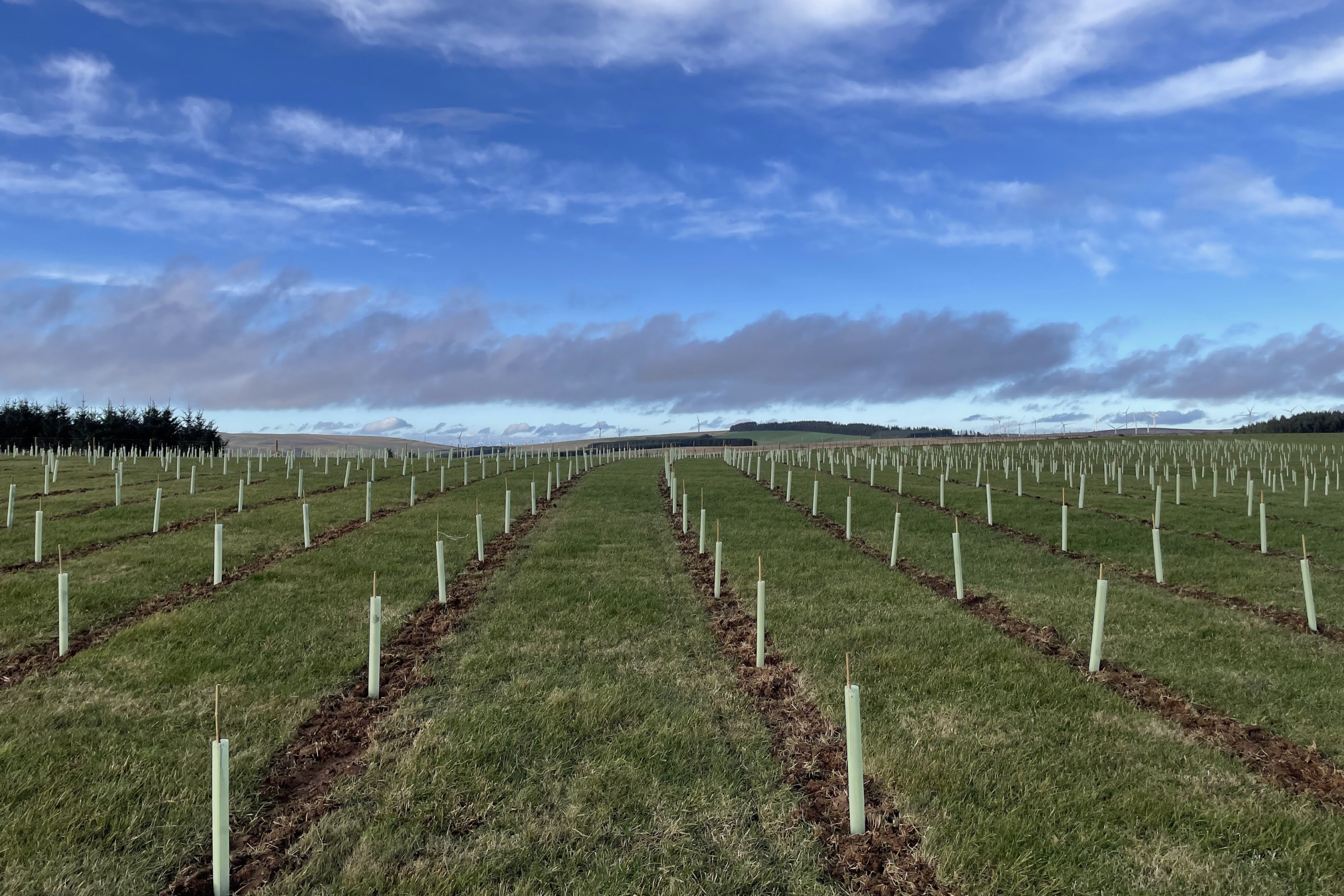 Farms – Website Banner