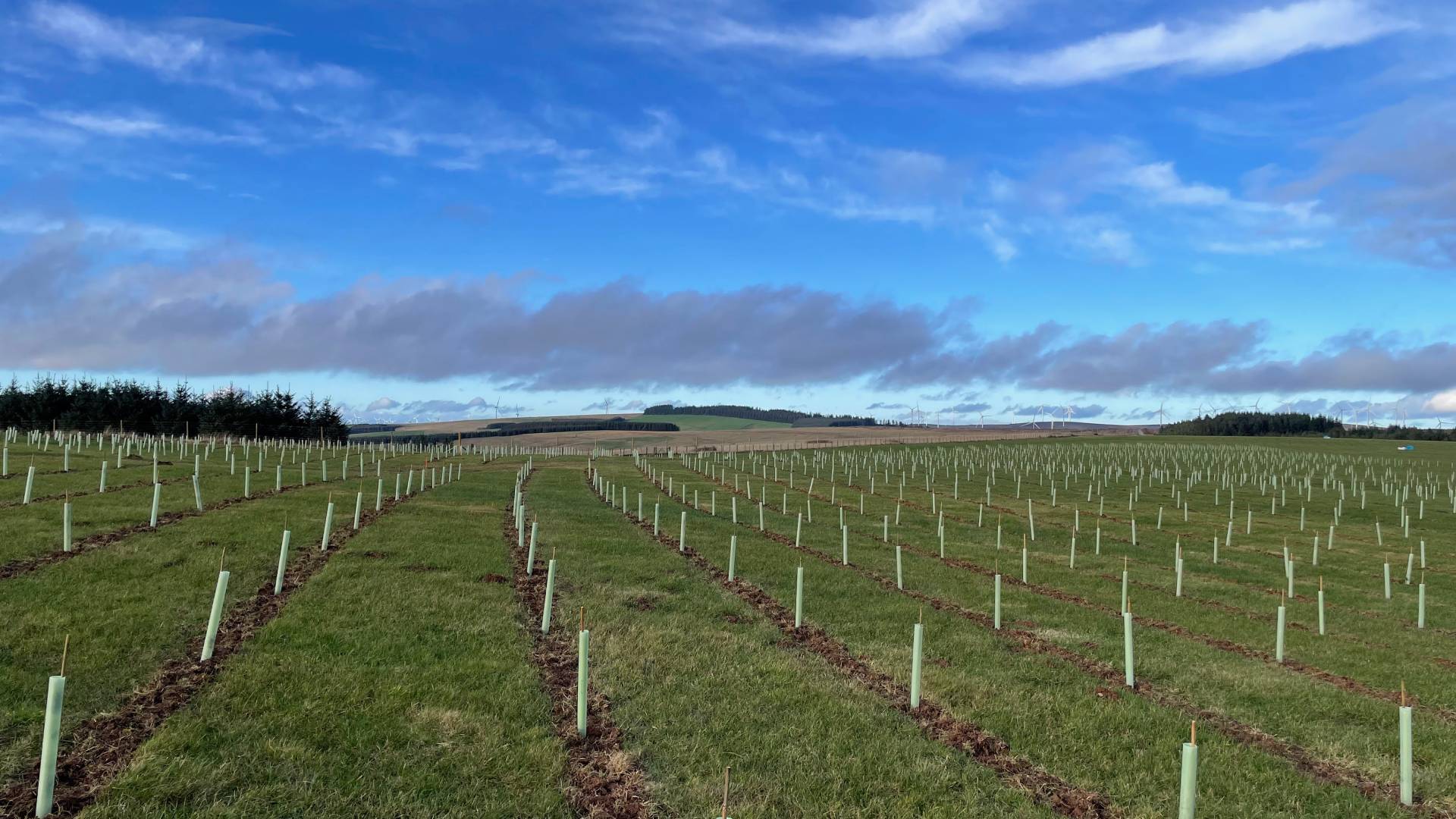 Photos-3-001_IMG_6510