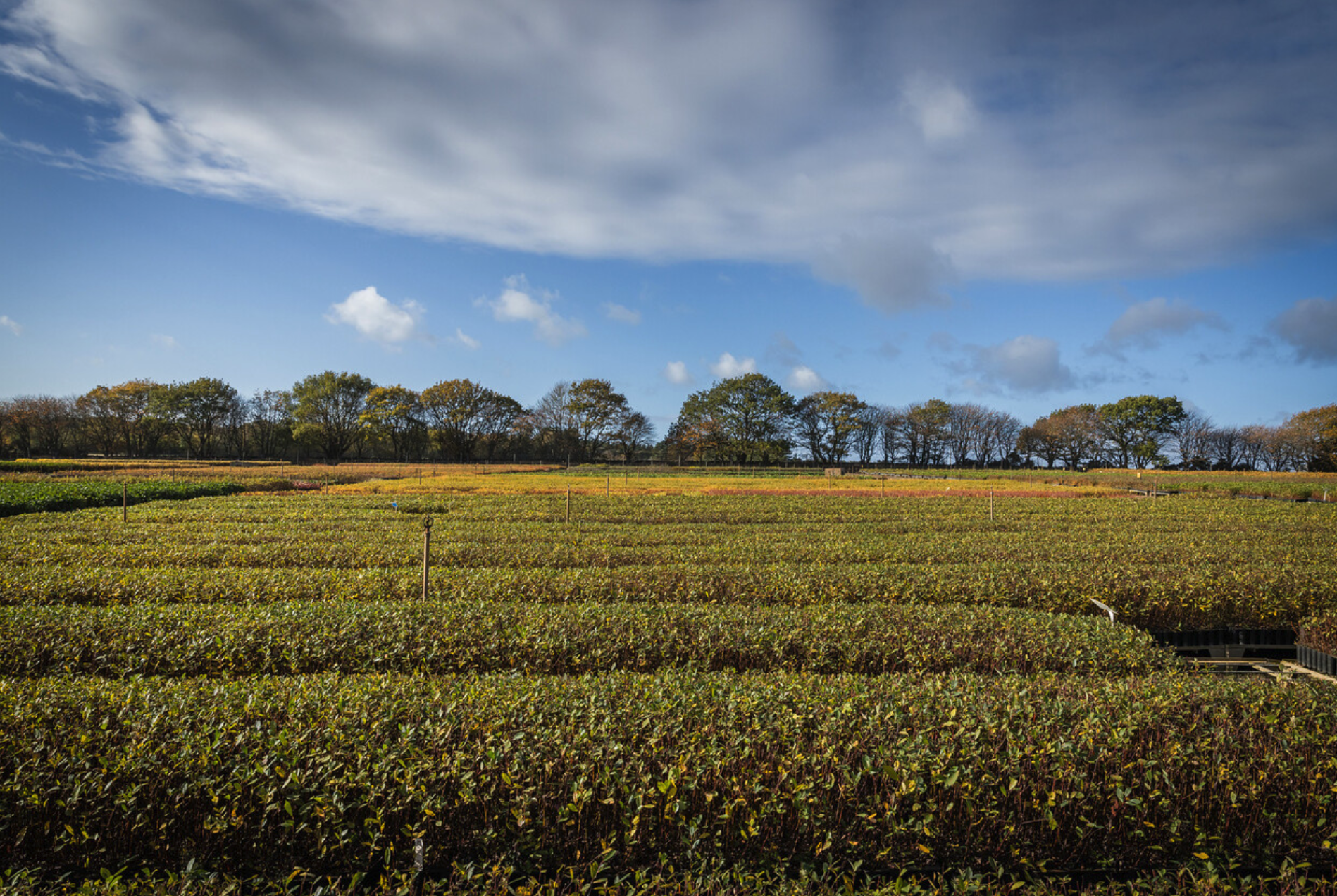 Screenshot 2026-01-27 at 17.12.27